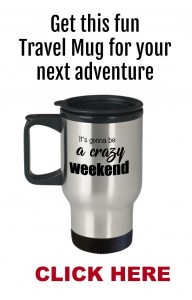 It's Gonna Be A Crazy Weekend Travel Mug